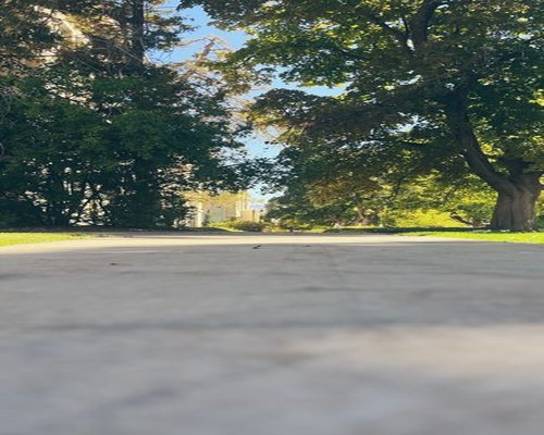 calm walk through a Chilean city park